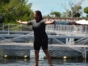 Dolphin Experience in Varadero