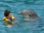 Dolphin Experience in Varadero