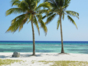 “Special Beach” Tour