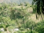National Park ¨Mensura-Piloto¨, Holguín, Cuba.