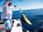 Exclusive Sport Fishing in Guardalavaca