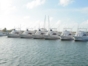 Exclusive Sport Fishing in Guardalavaca