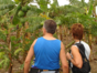 ”Visit to the Agroecological and Medicinal Plants Farm”