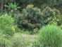 Panoramic View- ”Visit to the Agroecological and Medicinal Plants Farm”