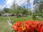 Gran Humedal Park, North of Ciego de Avila, Cuba