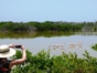 Gran Humedal Park, North of Ciego de Avila, Cuba