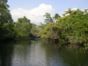 "Fluvial Walk by the Hatiguanico River"