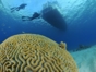 "Seafari Cayo Blanco from Marea del Portillo" Tour