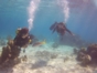 Scuba Diving in Havana