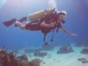 Scuba Diving in Havana