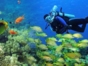 Scuba Diving in Havana