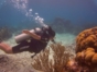 Scuba Diving in Havana