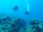 Scuba Diving in Havana