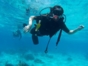 Scuba Diving in Havana
