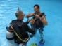 Scuba Diving in Havana