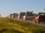 Jeep Safari “Adventure Florencia”