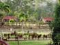 Pinares de Mayarí, Holguín, Cuba