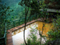 .El Guayabo, La Mensura National Park, Pinares de Mayarí