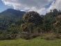"El Brujito" Trail