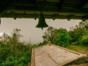 old cuban coffee farm