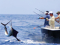 Deep Sea Fishing in Tarara Tour