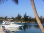 Deep Sea Fishing in Tarara Tour