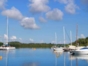 Deep Sea Fishing in Tarara Tour