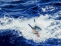 Deep Sea Fishing in Tarara Tour