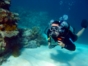 Diving in Havana
