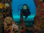Diving in Havana