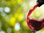Local wine tour, Lima, Peru
