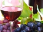 Local wine tour, Lima, Peru