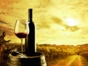 Local wine tour, Lima, Peru