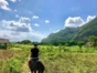 “Habana - Viñales 2” Tour (Private one day tour)