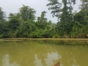 Duaba river, Baracoa, Cuba