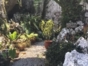Trail “Wonders of Soroa”