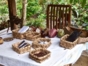 TRAIL OF THE COCOA - CASCADE OF THE DUABA Trekking Tour