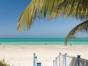 "SAFARI CAYO MEDIA LUNA" Tour
