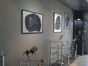 Pauyet Gallery, "Cuba, Sugar, Tobacco and Rum" Tour