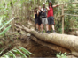 Topes de Collantes natural park