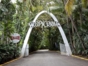 tropicana-cabaret-show-in-american-classic-cars-tour-