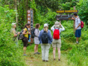 Guanayara park-Topes de Collantes-Cuba