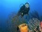 Scuba diving tour in Cayo Santa María