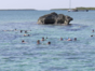 Crucero del sol tour, Cayo Santa María