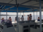 “Seafari Crucero del Sol VIP“ Tour