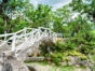 Orchid gardens