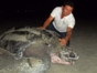 Turtle Nesting and Release Sighting" Tour