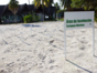 Turtle Nesting and Release Sighting" Tour