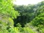 Limones Tuabaquey Ecological Reserve