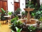 Inside patio view